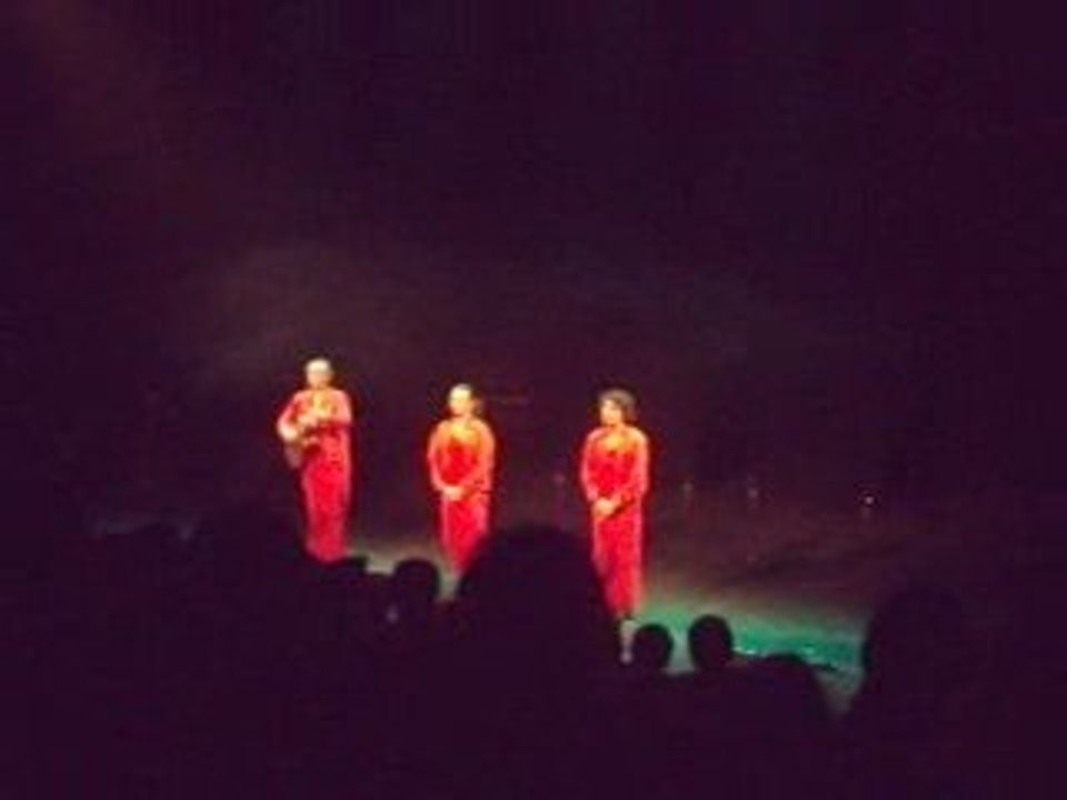 Thierry le chasseur - les wriggles