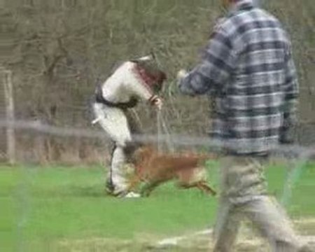 Gr4 1er sélectif à Mardié 2009 attaque fuyante