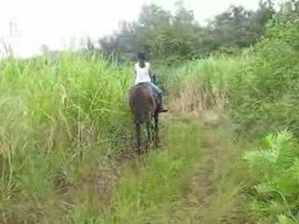 galop rando