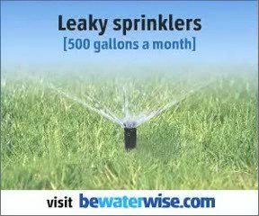 Water Saving Tips