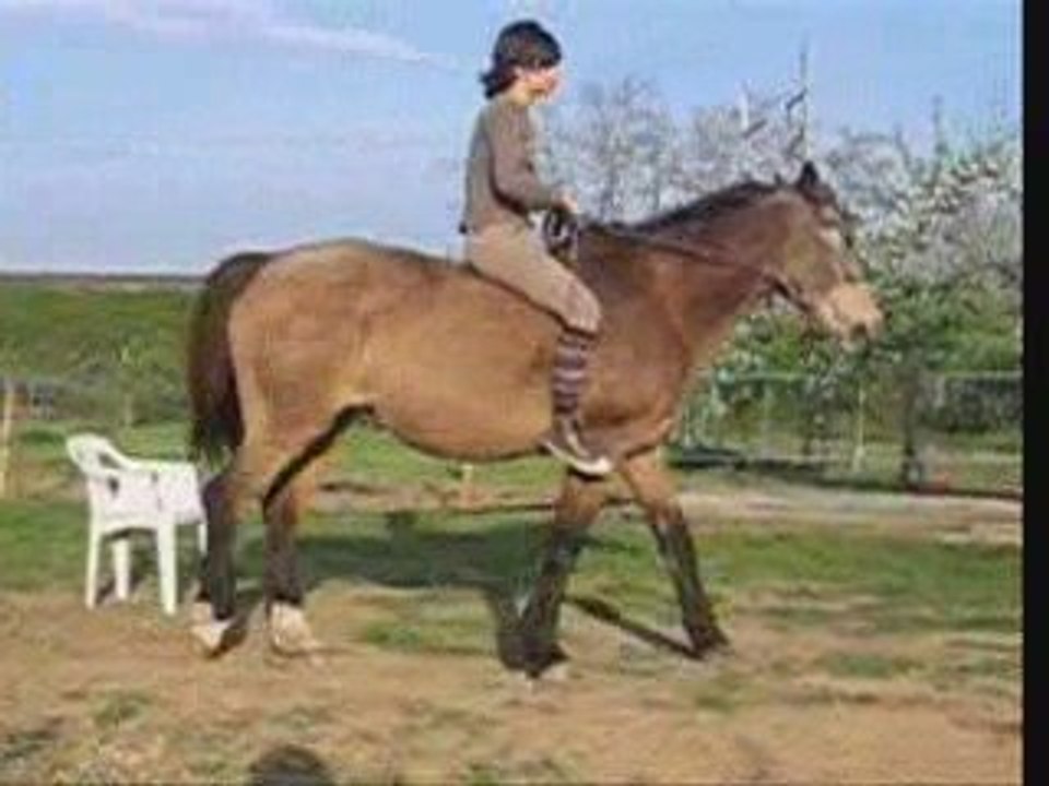Séance à pied les folles =)