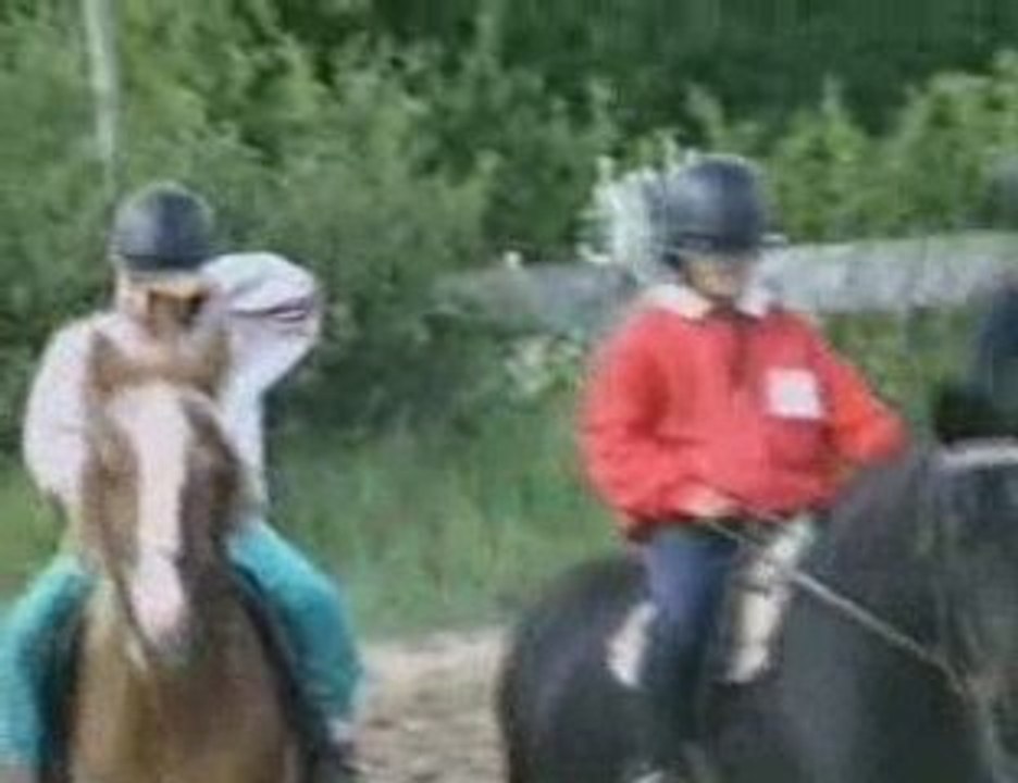 Nicolas, le pauvre cow-boy solitaire