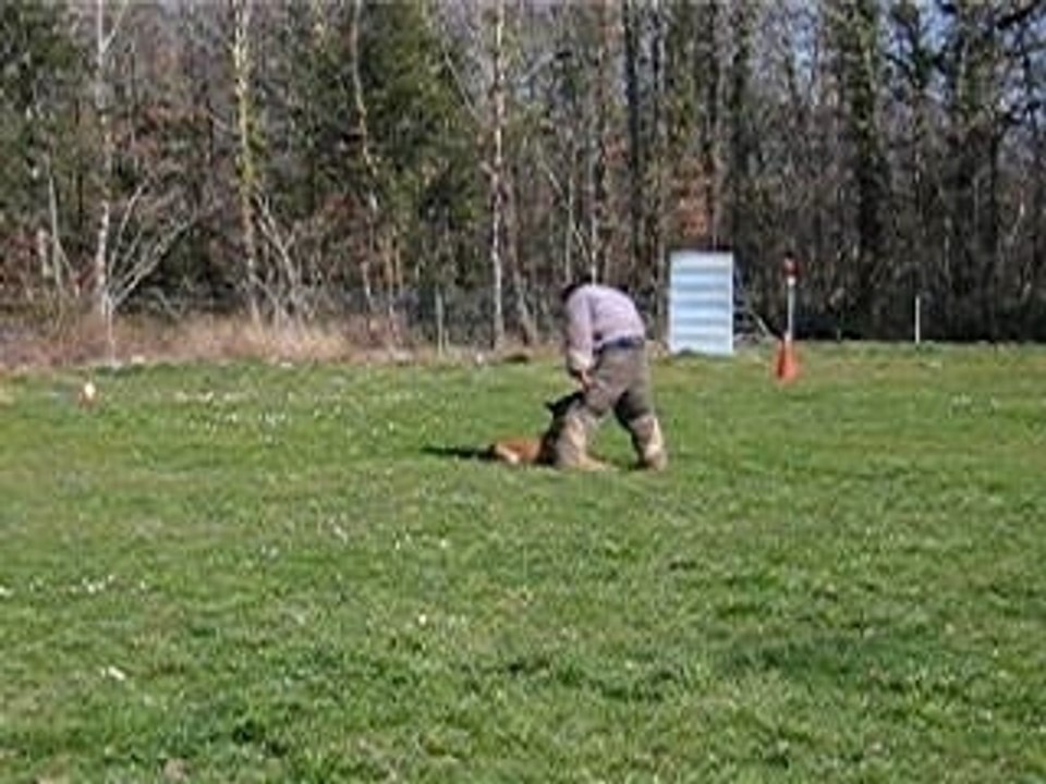 cash de l'union sacree à l'entrainement ring  garde au ferme