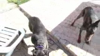 Avril 2009 d'just et diam's 028