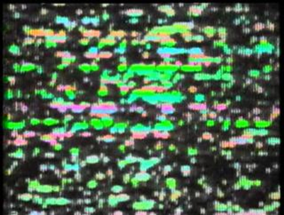 Les gros cons - le parachutiste