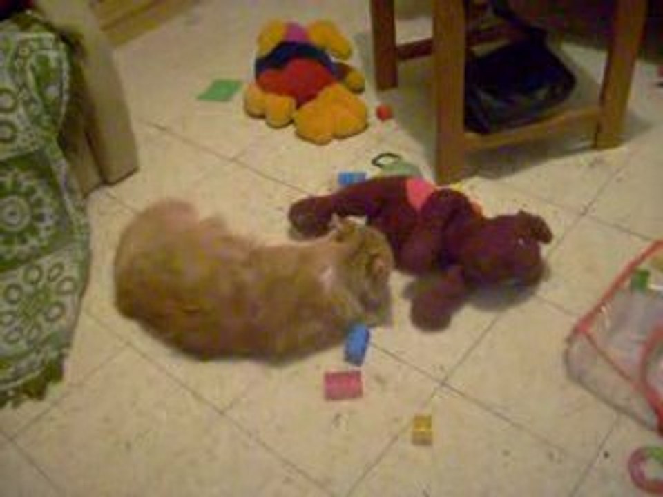 chat