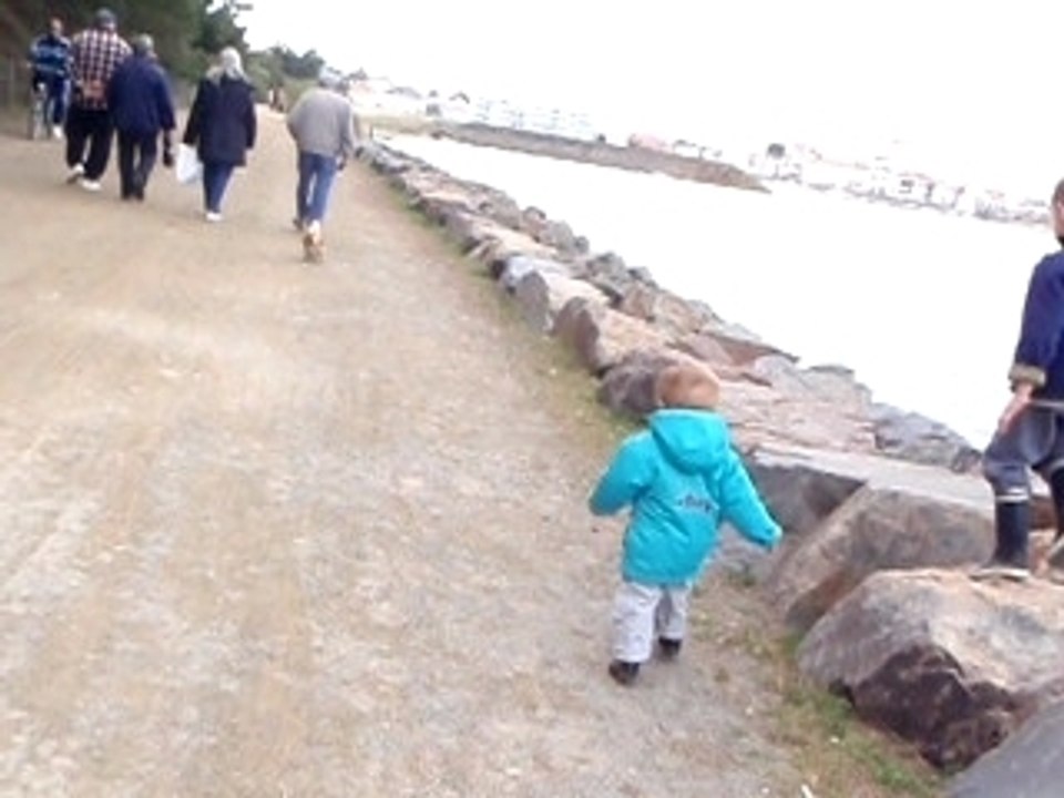 Course après le chien