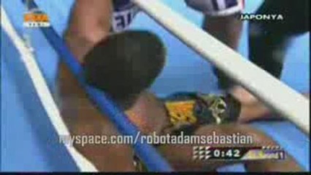 Peter AERTS vs. Errol ZIMMERMAN (04.04.09) Raund -4 Fox Tv