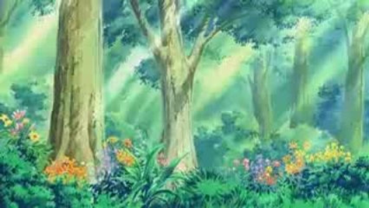 Moetan Op 2