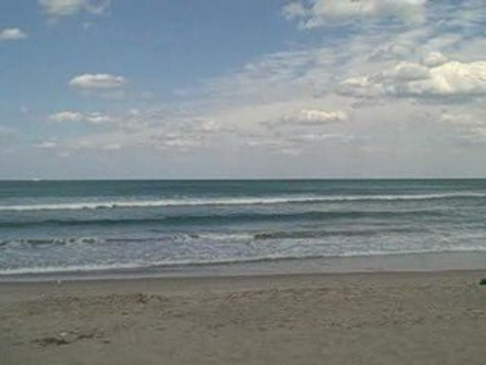 Why do I  Love South Florida? Watch