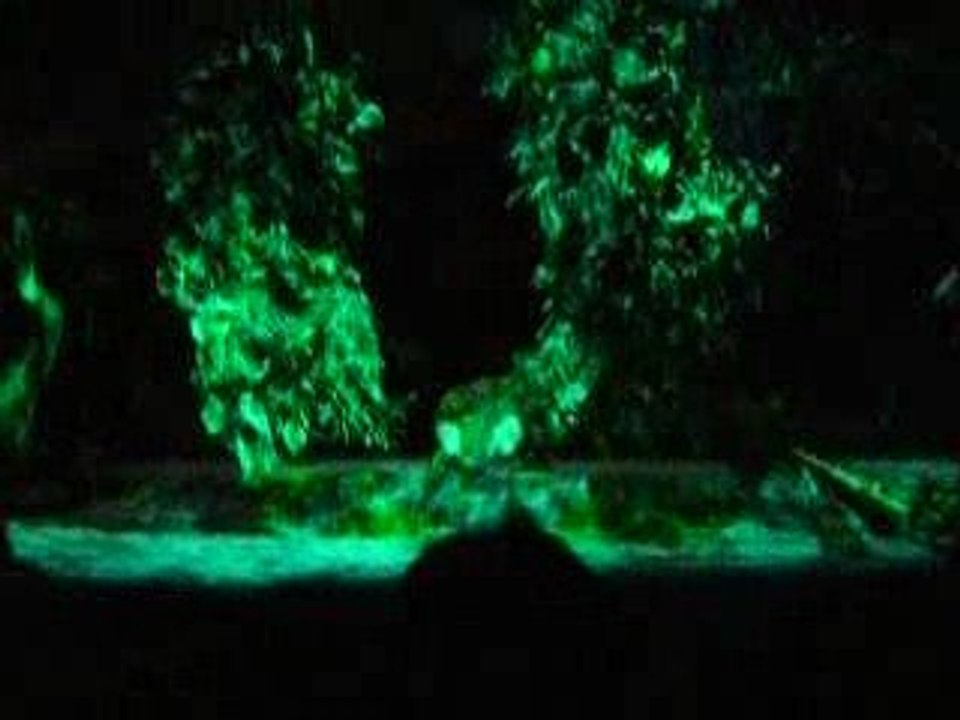 Spectacle mystic rythms tokyo disney sea partie 1