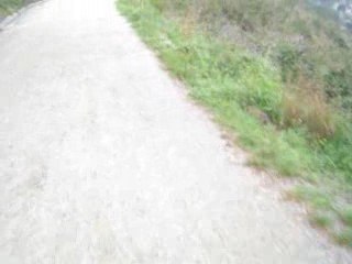Un paseo por el Collserola