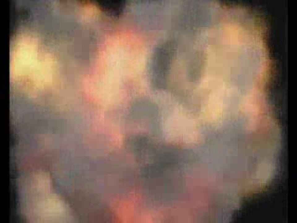 BDE iseg Paris (2009-2010) hell's paradise - part 2