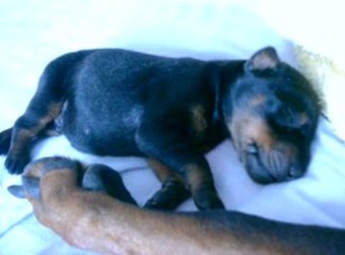 Ilane 4 jours fait des cauchemards