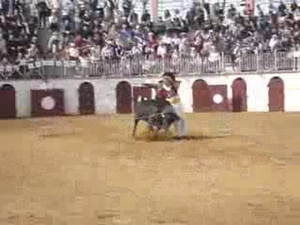 Ecart de Christophe Dussau !!!! Courses Landaises