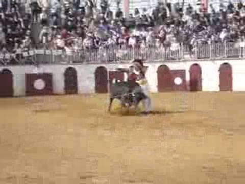 Ecart de Christophe Dussau !!!! Courses Landaises