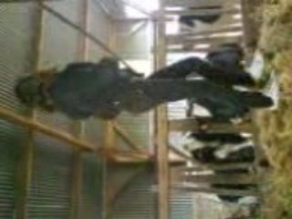 Une Naine sur une Botte de Foin !