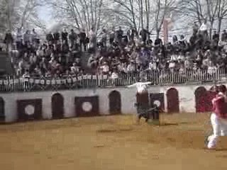 Saut de l'ange de Manu Lataste !!!! courses landaises !!!!!!
