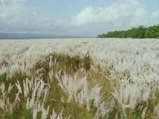 medieval music: "tempus transit gelidum"