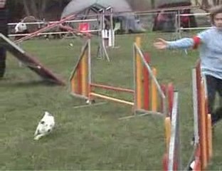 Francaltroff 2009 - Les degrés