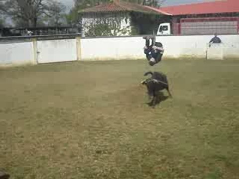 Maxcgb40 en saut perrieux !!!!!!!!! courses landaises !!!!!