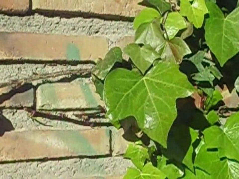 Parkour Zaragoza Born4Run HD