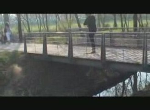 Les hommes grenouilles migrent , regardez autour de vous ..