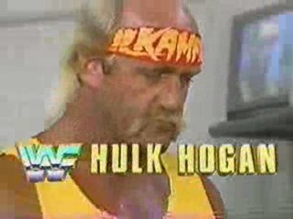 WWF New Japan All Japan Wrestling Summit 5