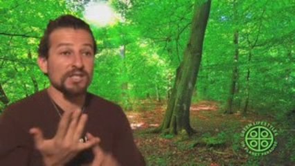 Visions of Paradise - David Wolfe