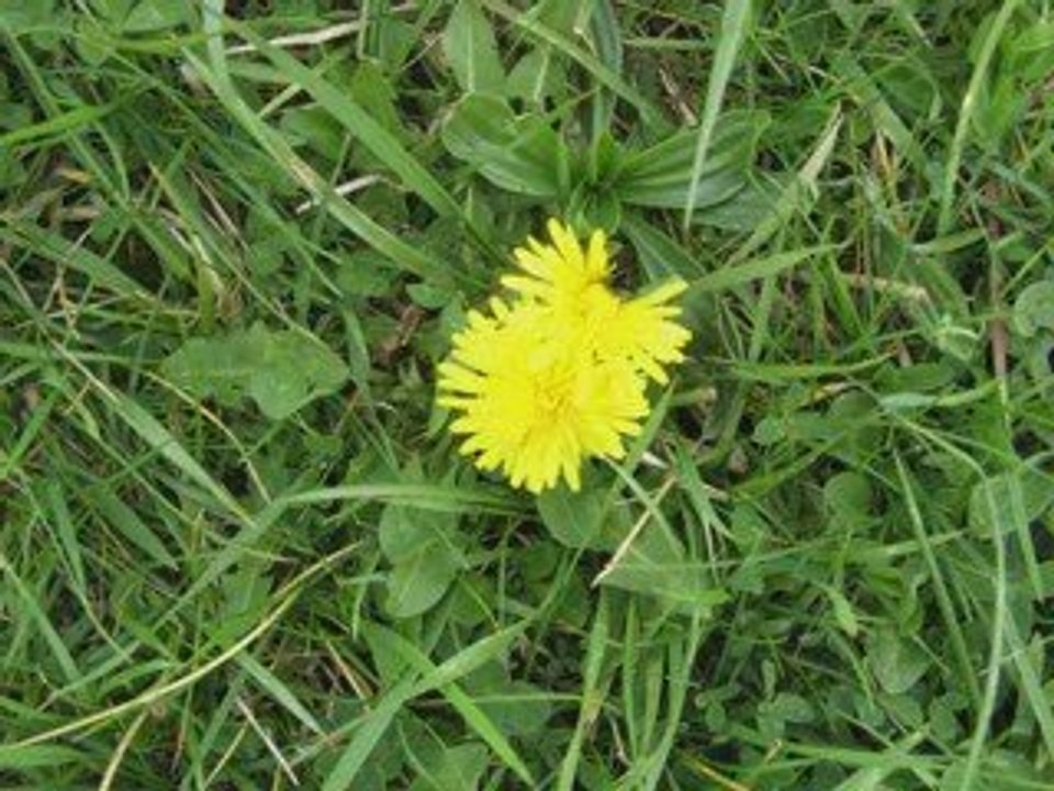 petit tour à Vaires sur Marne