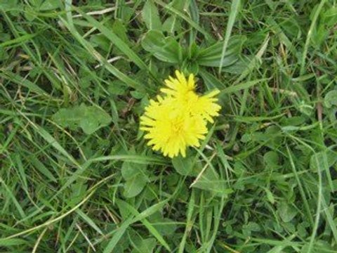 petit tour à Vaires sur Marne