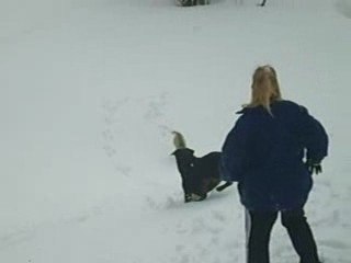 ma rott et mon husky