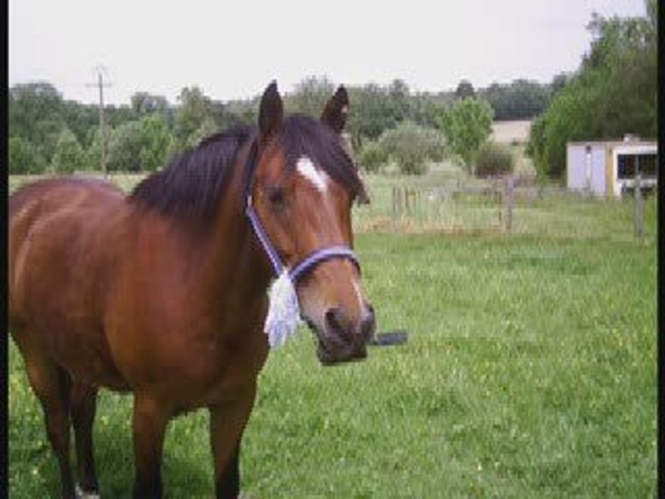 My Love :D