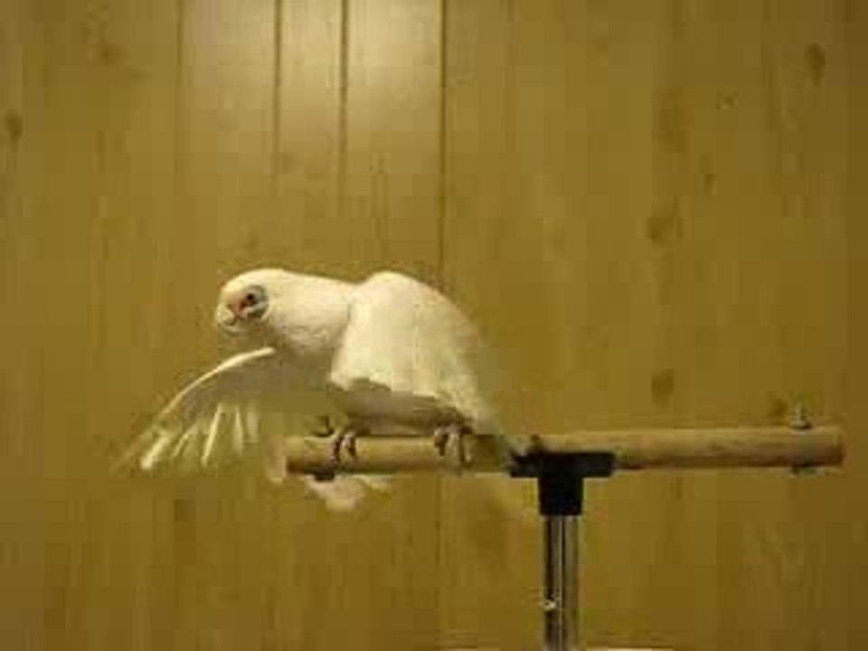 Le Rythme dans la Peau !!!