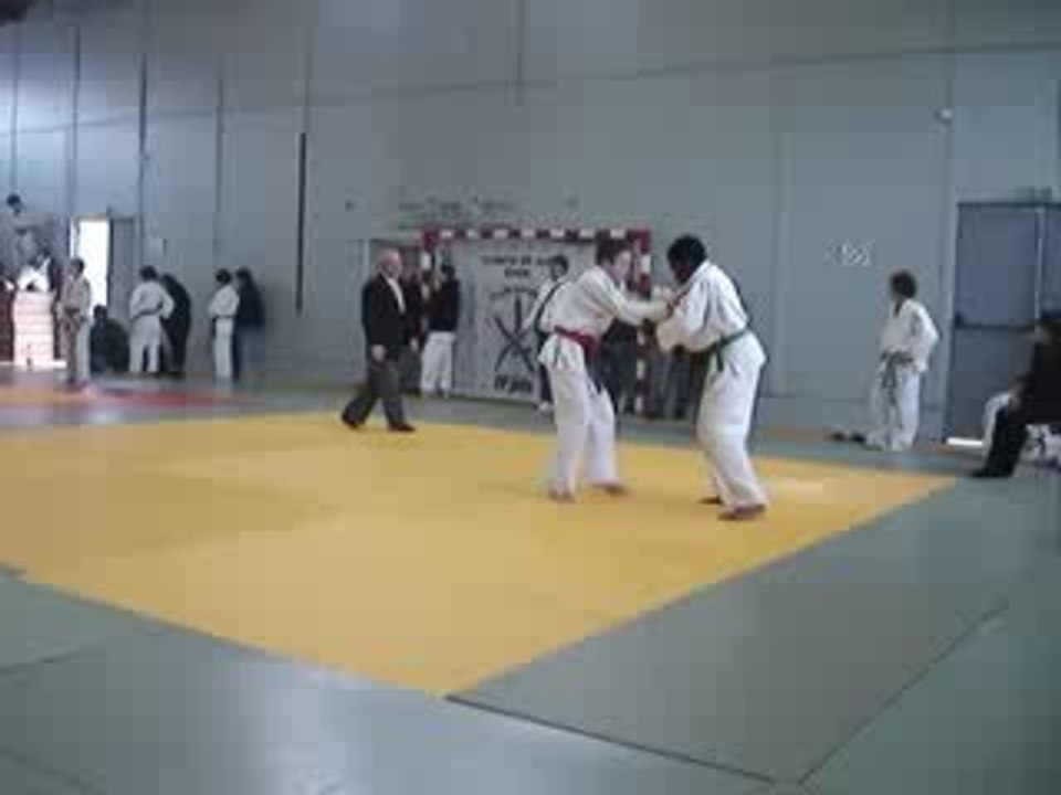 Ippon sasae
