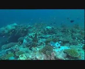 Movie_00_(Movie_00_(Title 1))