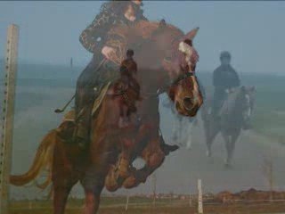 Diverses photos de Pilou