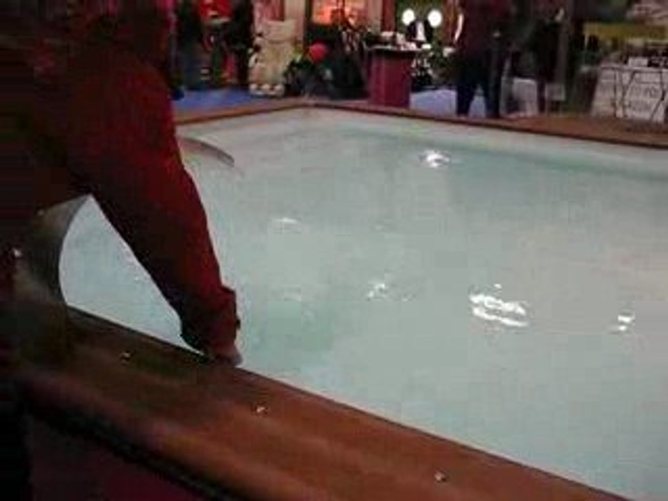 Nantes : Foire Internationale 2009