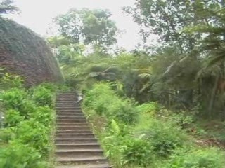 BACK TO THE ROOTS - Part 4