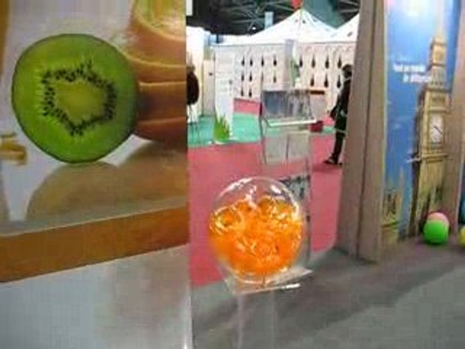 Nantes : Foire Internationale 2009