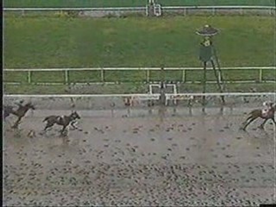 Hilarious Jockey Ride
