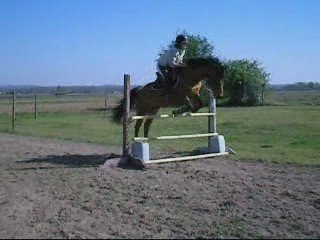 Jeudi 9 Mars 2009 CSO Alladin 85 cm