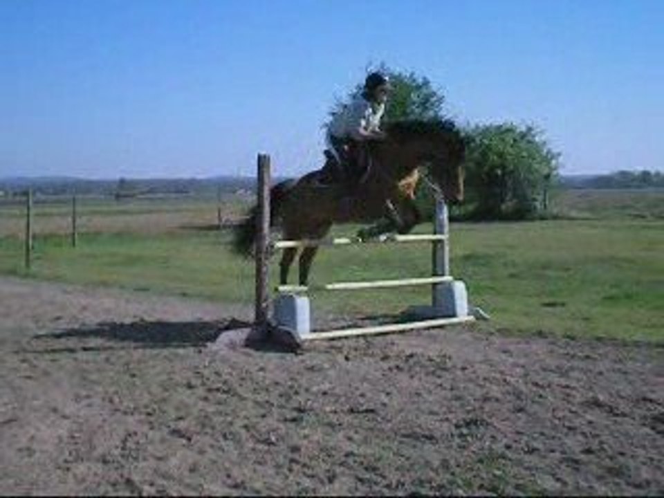 Jeudi 9 Mars 2009 CSO Alladin 85 cm