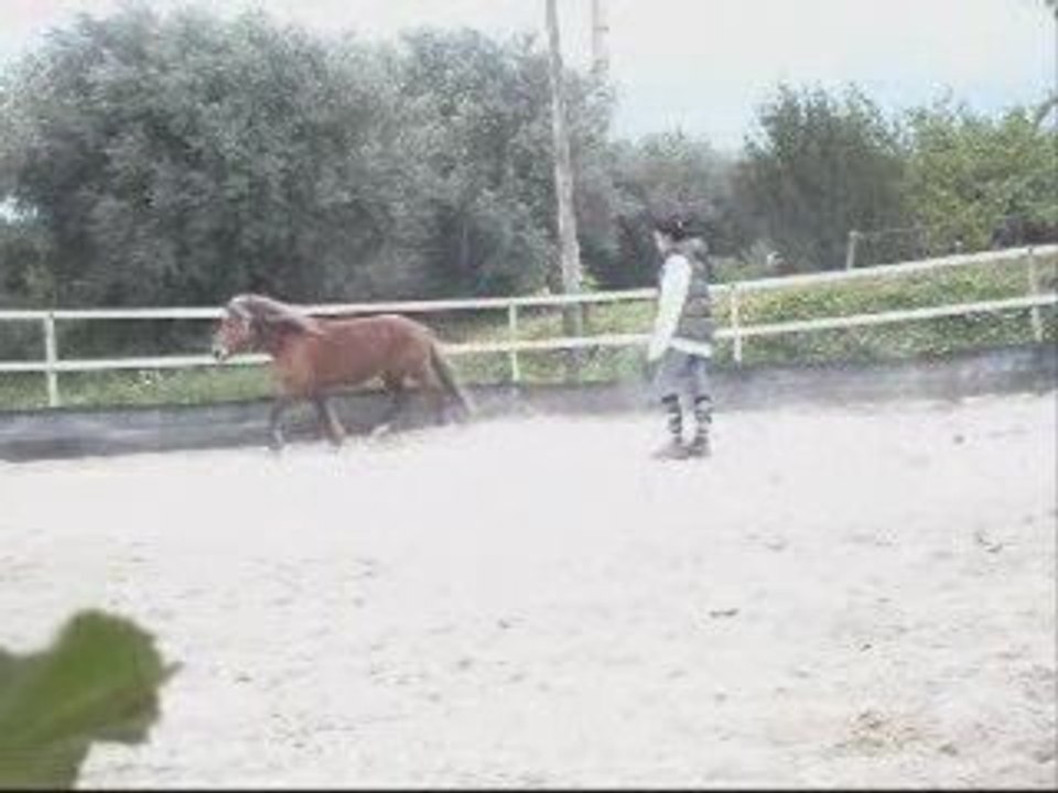 Senka Trot Liberté