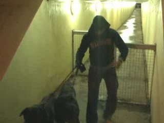 Nouveau Clip Je donne ça Bromer