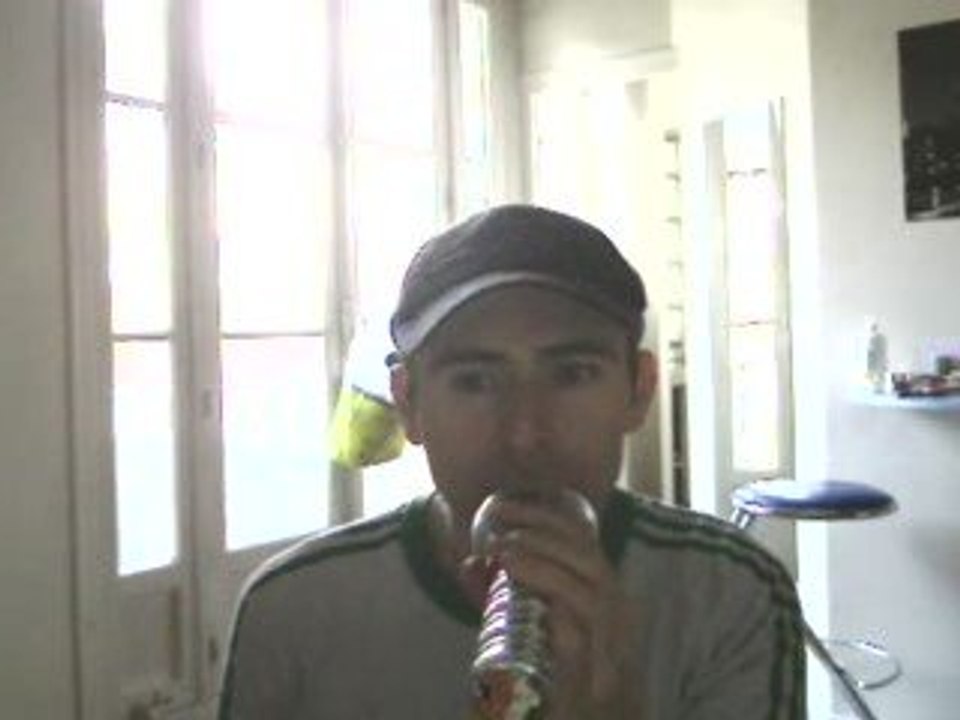 Wiwi égratigne "Les souliers verts"