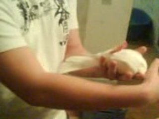 magie hypnose de colombe