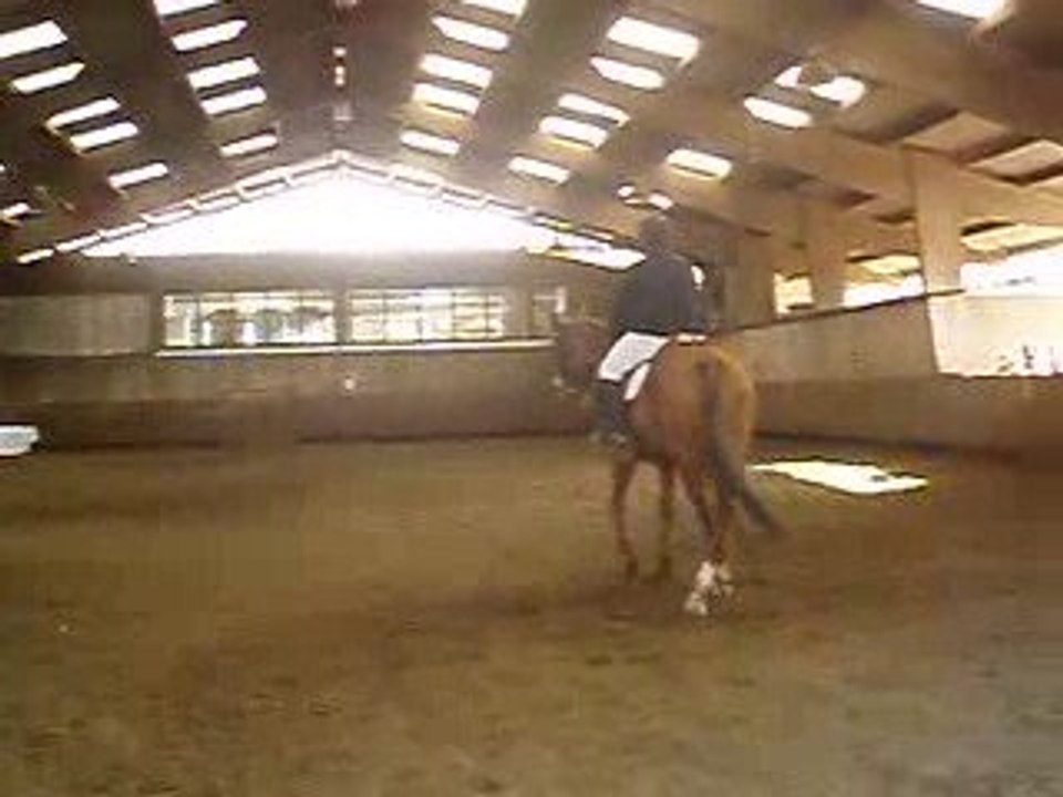 Concours Dressage 05 avril Lucie et Océane