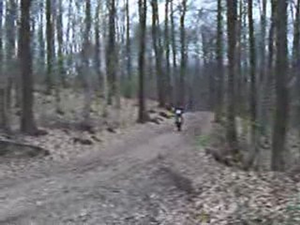 Algerois roue yz 125