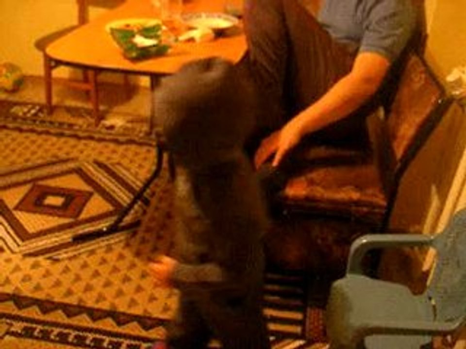 Picture 019